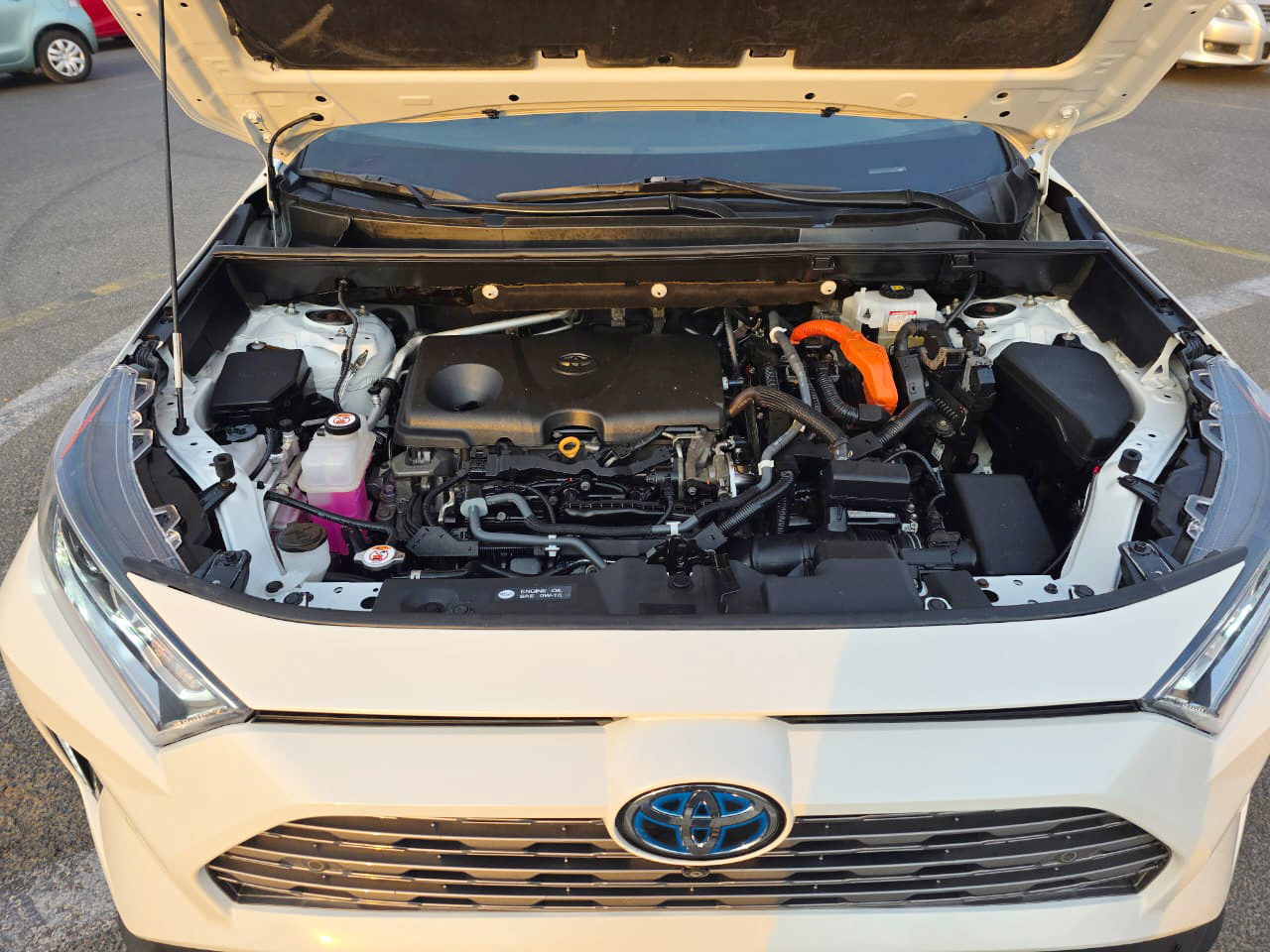 
								Toyota Rav4 Hybrid Model 2019 full									