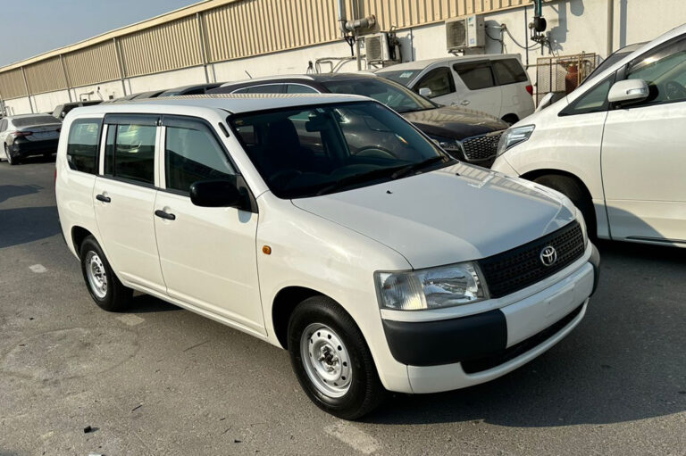 Toyota Probox Model 2010